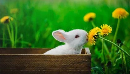 好妹妹影视:在屏幕前筑起的温暖守望