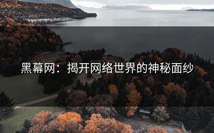 黑幕网：揭开网络世界的神秘面纱