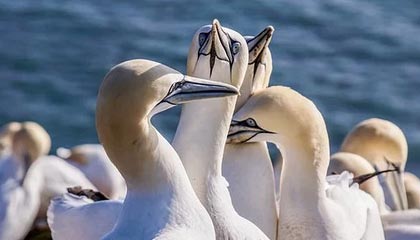 少年坠入蛇洞:被蛇改造成怪物的成长之旅