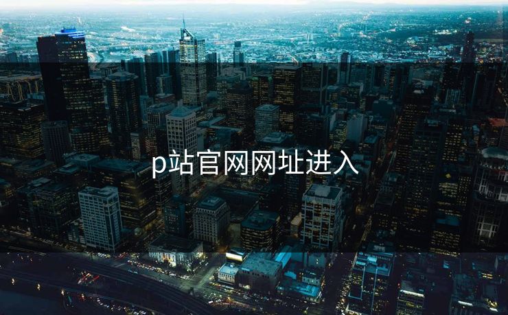 p站官网网址进入