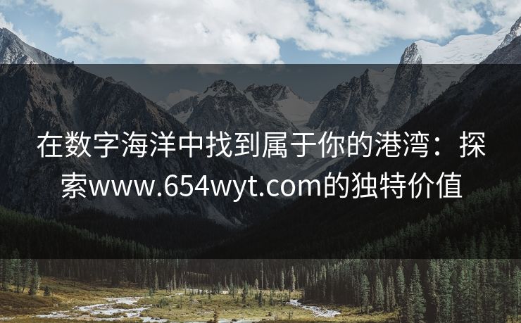 在数字海洋中找到属于你的港湾:探索www.654wyt.com的独特价值